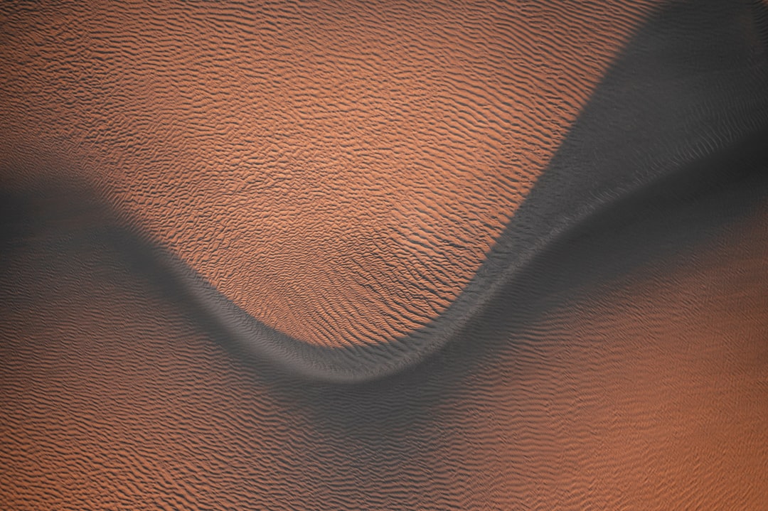 image-29 Photo tuns caini