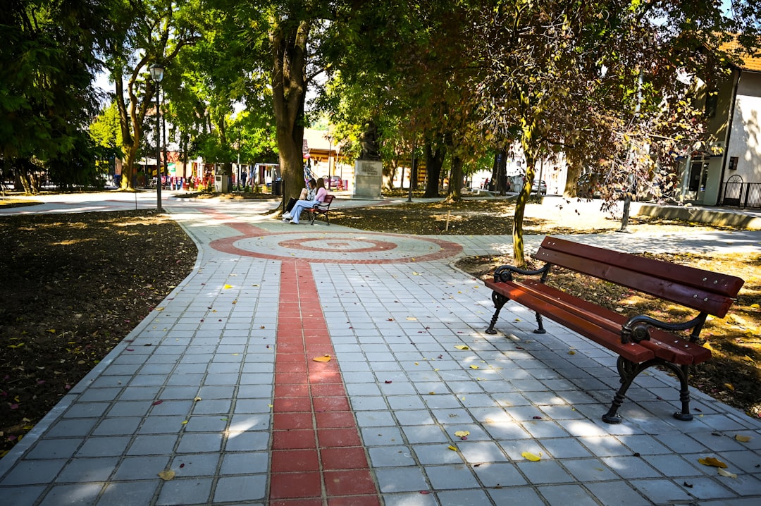 Photo parcul puskin craiova