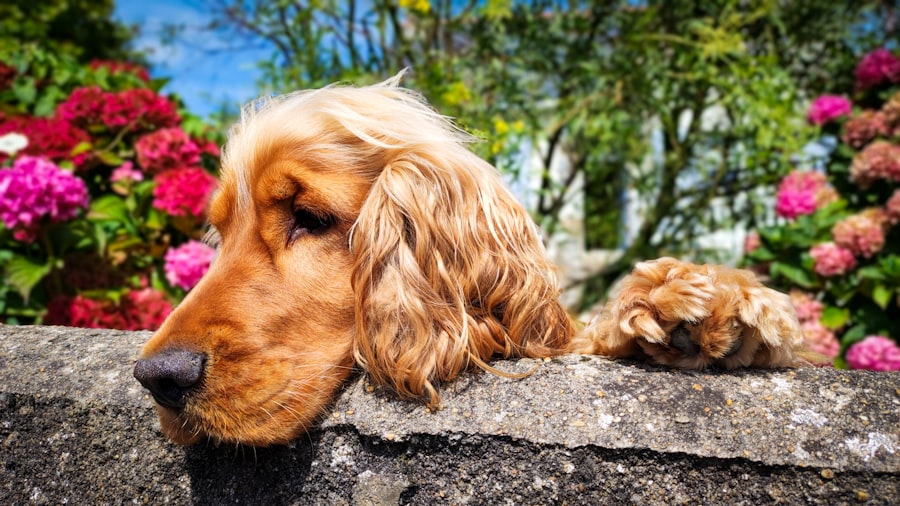 Photo top 10 female dog names